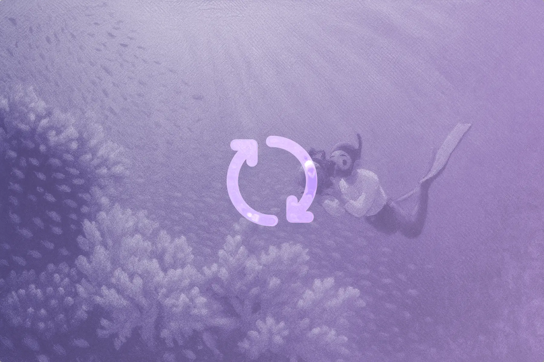 This is a simple description for your image.